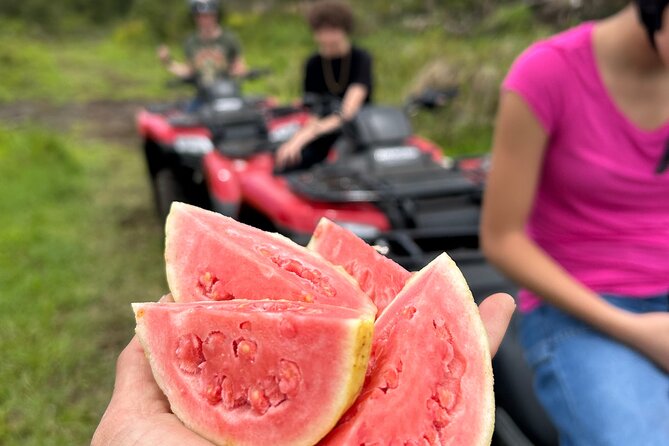 Big Island ATV Tour at Ohana Ranch - Key highlights you’ll care about
