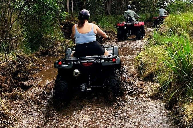 Big Island ATV Tour at Ohana Ranch - Animals, planting, and why the farm portion feels meaningful