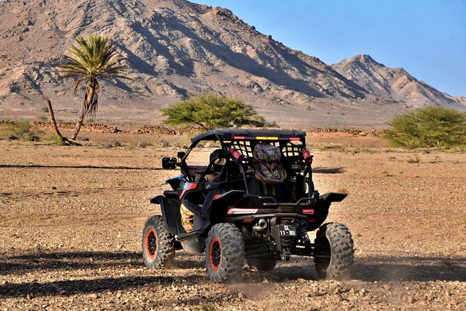Boa Vista 2h Buggy Death Valley Adventure 1000cc - Price and What You Actually Get (It’s About Value, Not Just Cost)