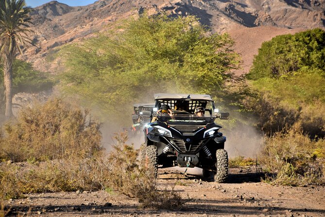 Boa Vista 2h Buggy Death Valley Adventure 1000cc - Crossing the Cape Verde Death Valley: The Main Event