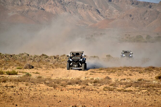 Boa Vista 2h Buggy Death Valley Adventure 1000cc - The Oasis Stop Inside the Valley: Short, Scenic, and Sometimes Dry