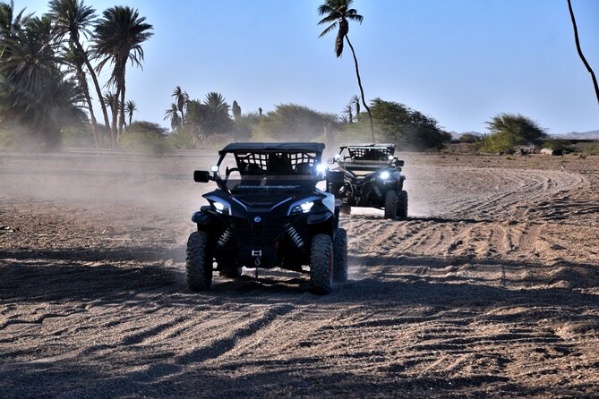 Boa Vista 2h Buggy Death Valley Adventure 1000cc - Safety, Gear, and the Dust Reality Check