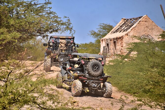 Boa Vista 4h South Buggy Adventure 1000cc - A 1000cc buggy tour on Boa Vista’s south coast