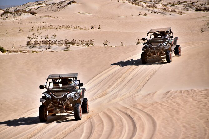 Boa Vista 4h South Buggy Adventure 1000cc - Santa Monica (Praia de Curralinho): the biggest beach moment