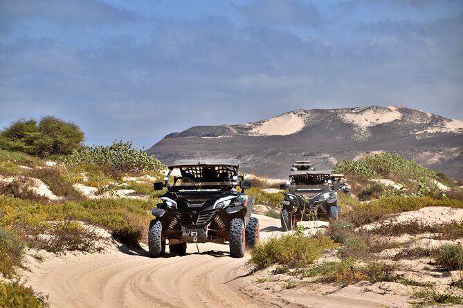 Boa Vista 4h South Buggy Adventure 1000cc - Four hours on a buggy: what it feels like, pacing included