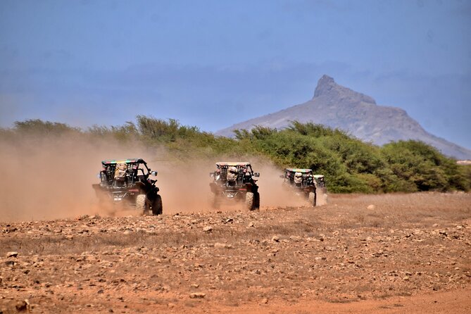 Boa Vista 4h South Buggy Adventure 1000cc - The review signal: what people consistently praise (and why you should care)