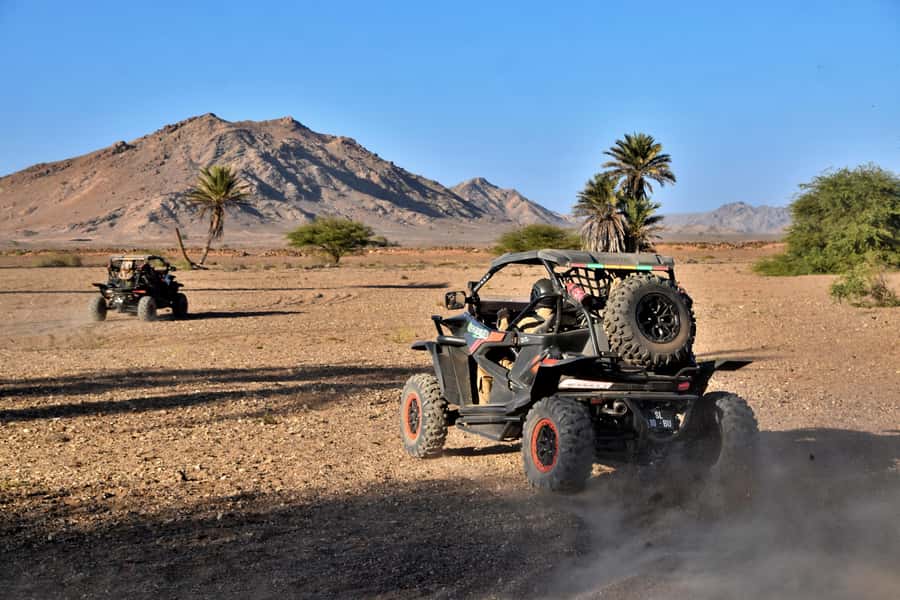 Boa Vista Buggy Tour: Death Valley Adventure (2-Hour) - Fonte Vicente and the baobab tree: how the final stops round out the day