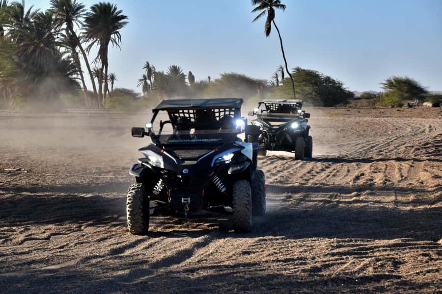 Boa Vista Buggy Tour: Death Valley Adventure (2-Hour) - My booking check: what to confirm before you go