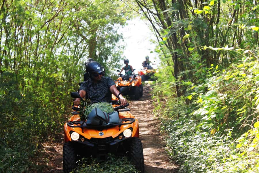 Bora Bora: Island Tour and Mountains Getaway by Quad Bike - Three Lookouts and Three Off-Road Trails: Why the Pace Works