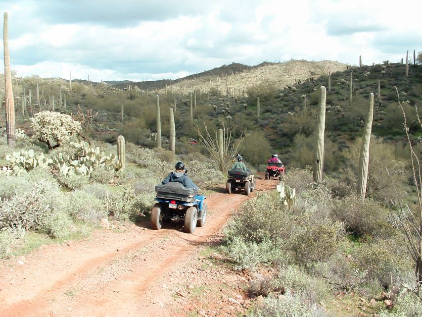 Box Canyon and Pinal Mountains Half-Day ATV Tour - 30 Miles of Dirt: What the Pinal Mountains Riding Feels Like