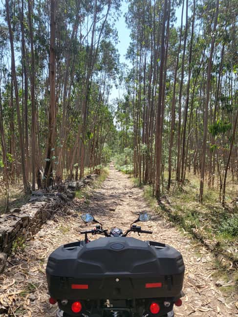 Braga: Quad bike ride, experience the adventure in Braga with Quad Paradise! - Should you book Quad Paradise Braga?