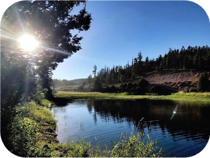 Bryce Canyon: 2-Hour, 4-Seat or 5-Seat ATV Rental - Gear Notes: Driver License, Cold Days, and Why Dirt Happens