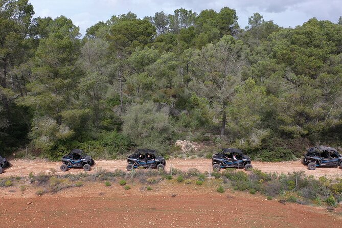 Buggy 2-seater and 4-seater Off-On Road Tour in Mallorca - Meeting Point at Playa de Palma: Getting Started Without Stress