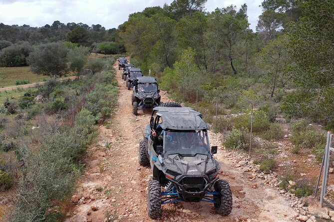 Buggy 2-seater and 4-seater Off-On Road Tour in Mallorca - Buggies, Seats, and Real-Life Comfort (Legroom and the Dust Plan)