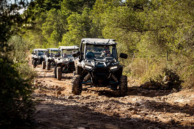 Buggy 2-seater and 4-seater Off-On Road Tour in Mallorca - Price and Value: Is $289.64 a Smart Spend?