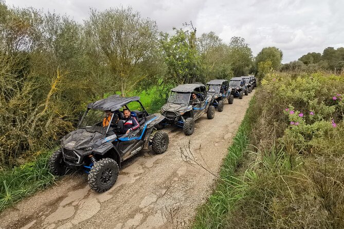 Buggy 2-seater and 4-seater Off-On Road Tour in Mallorca - Automatic Buggies and the Early Countryside Drive