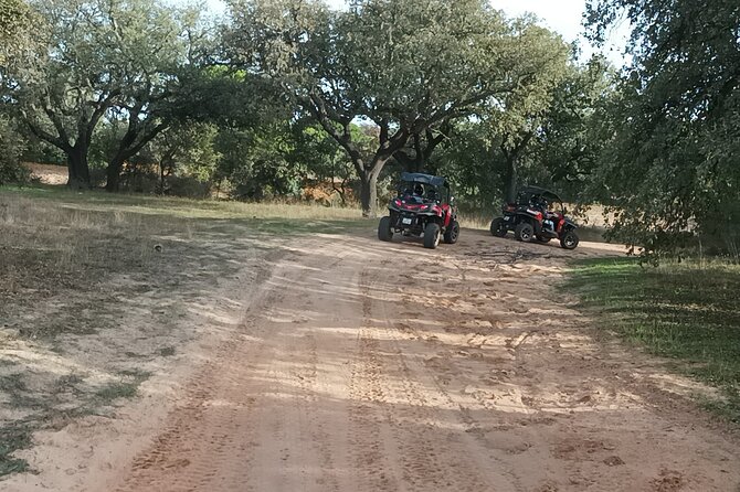 Buggy Adventure - 1.5 Hours Off-Road Guided Tour from Albufeira - Safety, Driver Swaps, and the Rules That Affect Your Ride