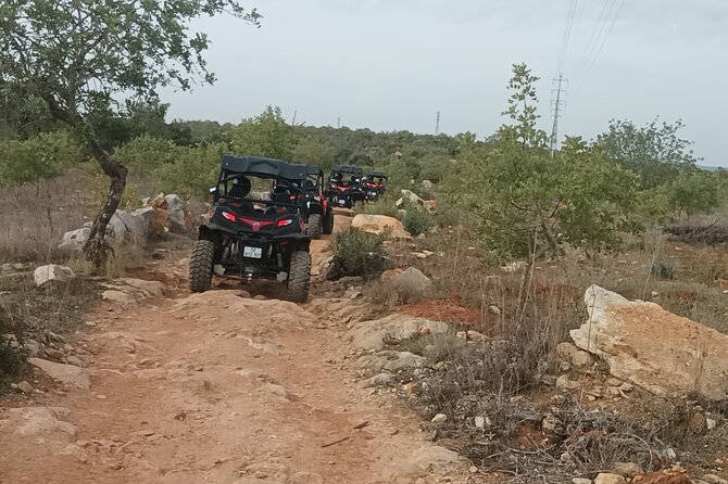 Buggy Adventure - 1.5 Hours Off-Road Guided Tour from Albufeira - Who This Buggy Adventure Is Best For