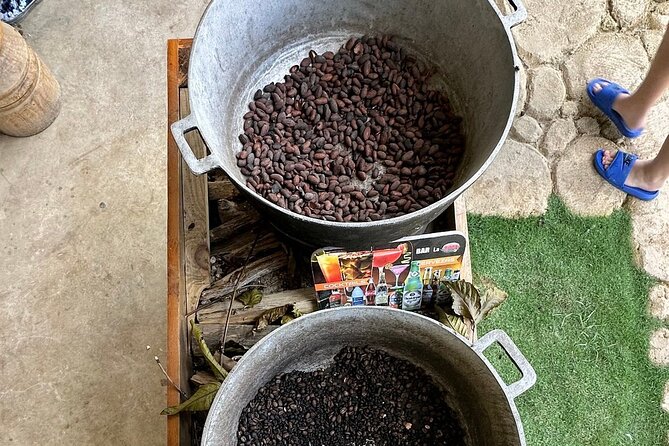 Buggy Adventure Tour with Chocolate and Coffee in Punta Cana - Key things to know before you ride