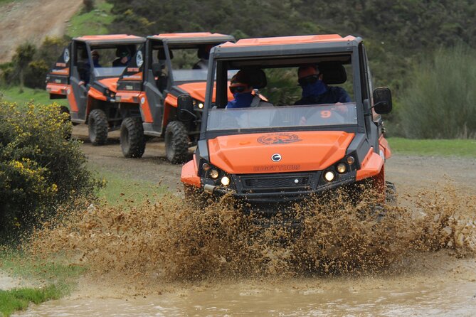 Buggy Adventure with Incredible Views of the Sea and the Reservoir - Key Points at a Glance