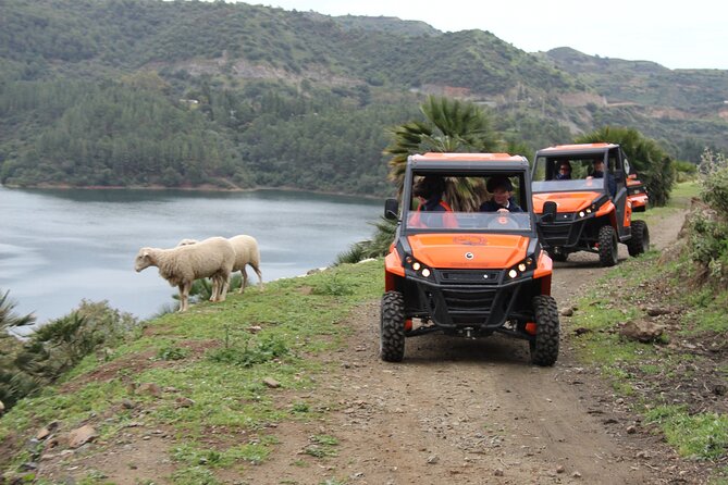 Buggy Adventure with Incredible Views of the Sea and the Reservoir - Price and Value: What $120.94 Per Group Actually Buys You
