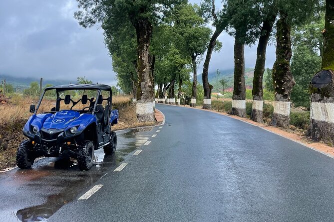 Buggy and Moto 4 Tours in Marvão - Key things to know before you go