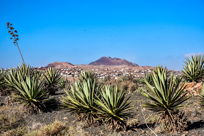 Buggy Fuerteventura Off-Road Excursions - Time on the Roads vs Time Off-Road: The Mix That Keeps It Fun