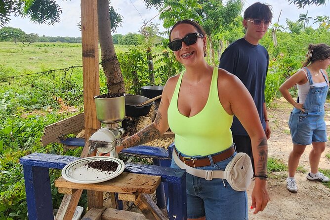 Buggy, horse and plantation ranch - A Living Plantation Workshop at Macao Beach