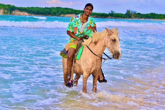 Buggy, horse and plantation ranch - Horseback Ride Along Macao Beach and Jungle Views