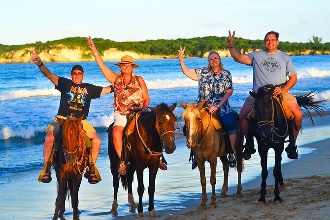 Buggy, horse and plantation ranch - Timing, Group Size, and How to Keep the Day Smooth