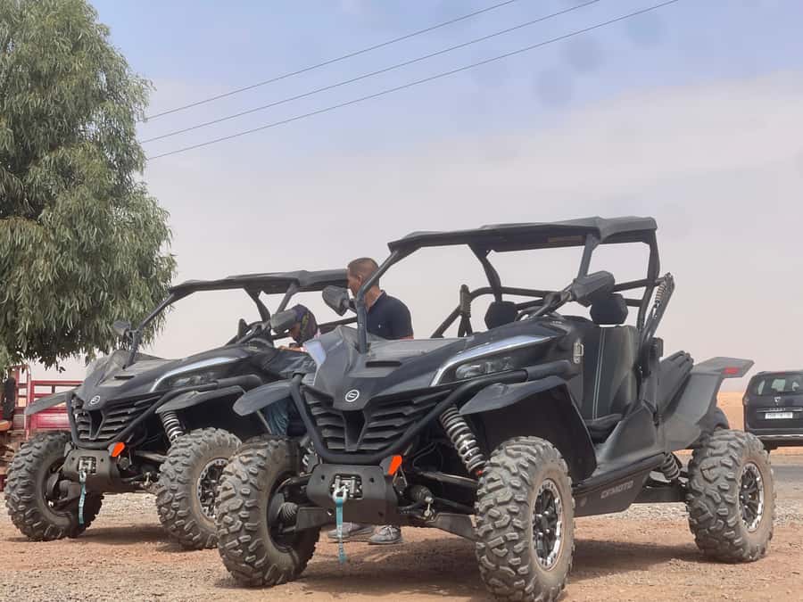 Buggy Marrakech Desert and Palmerie - Price and Value: Why $87 Can Actually Make Sense