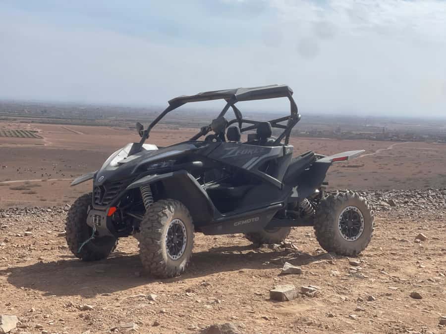 Buggy Marrakech Desert and Palmerie - Palm Groves and Palmerie Stops: The Pretty Part With Real Energy