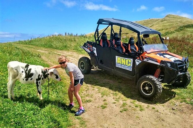 Buggy – Off-road Excursion w/ lunch – Coast to Coast (Shared) - Dust, Helmets, and Comfort Tips That Actually Help