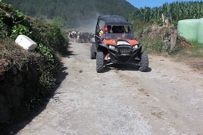 Buggy – Off-road Excursion w/ lunch – Coast to Coast (Shared) - Where You Start in Ponta Delgada and How the Day Flows