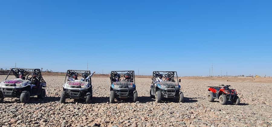 Buggy ride at the Palm Grove and Desert with swimming pool - Key things I’d pin on your plan