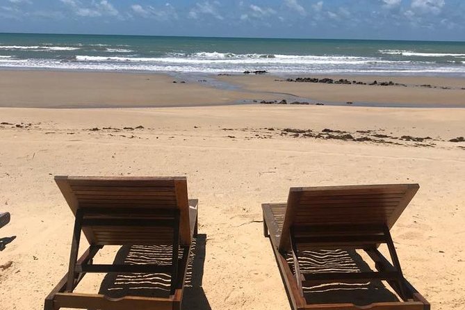 Buggy Ride - Genipabu + North Coast to Jacuma - Lagoa de Pitangui: A Real Oasis Break