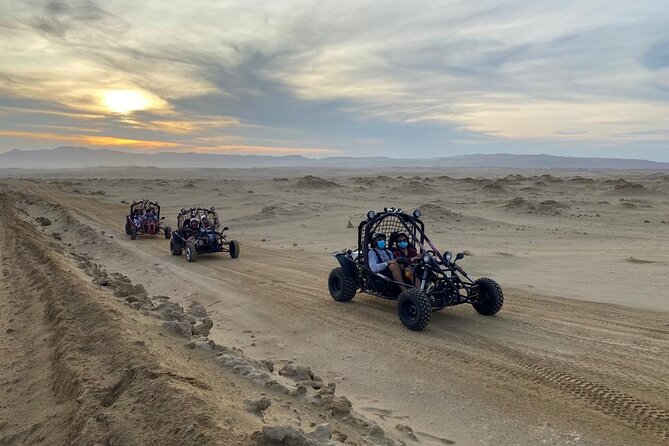 Buggy ride in Paracas National Reserve - Viewpoint stops in Paracas Reserve: what to expect at the scenic breaks