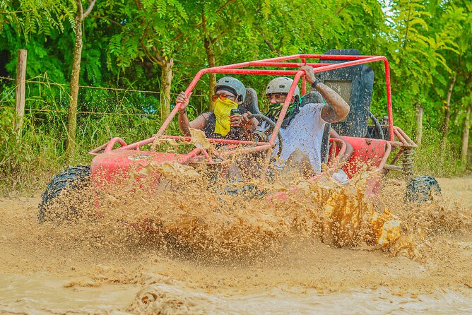 Buggy Ride Into the jungle with cave coffee & chocolate tasting - Coffee, Chocolate, and the Farm Stop: Tasting Plus Tougher Sales