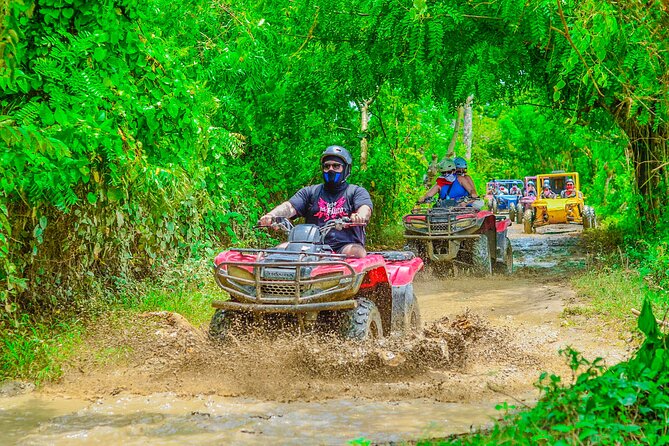 Buggy Ride Into the jungle with cave coffee & chocolate tasting - When Souvenir Pressure Takes Over (And How to Handle It)