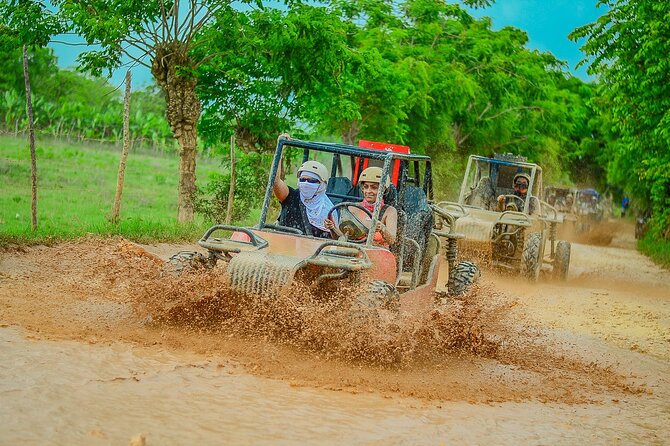 Buggy Ride Into the jungle with cave coffee & chocolate tasting - Price and What You Really Get for $53