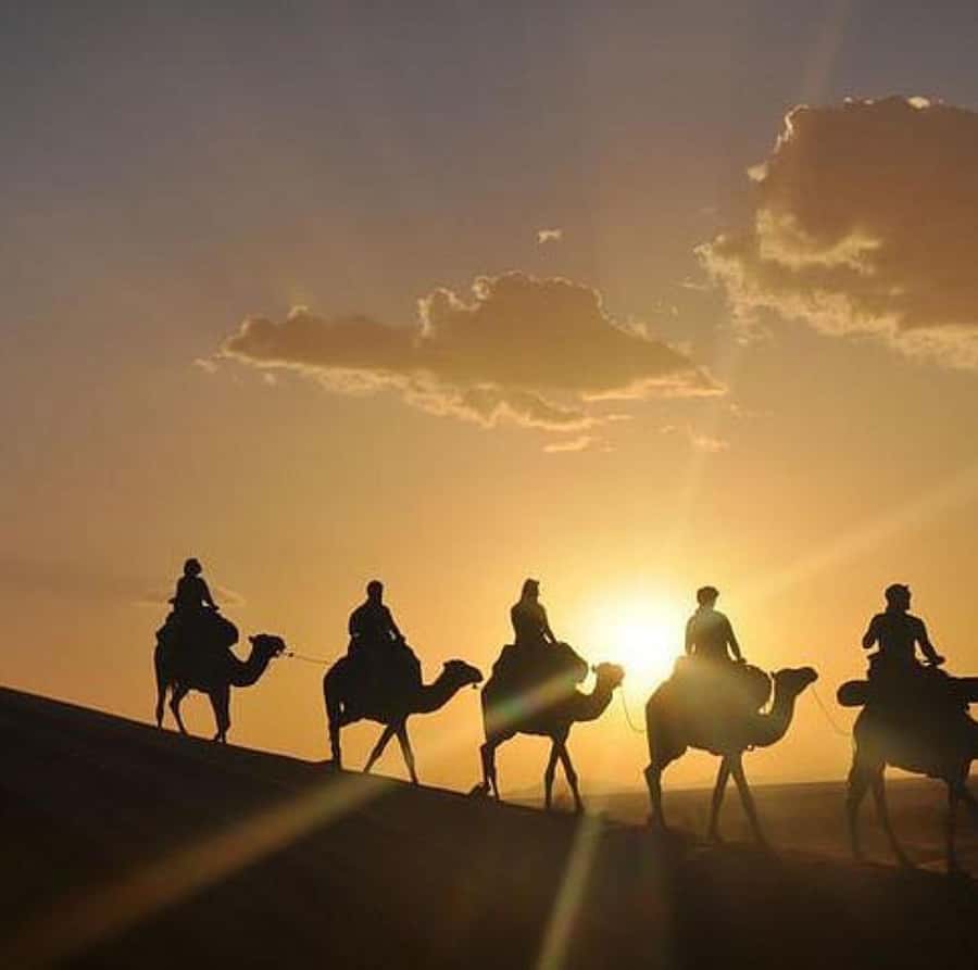 Buggy ride with camels and dinner show in agafay desert - The Buggy Ride Over Agafay’s Rocky Dunes (The Main Event)