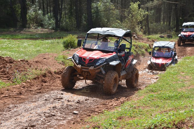 Buggy Safari for 2 people - Price for two: what $180.23 is buying you