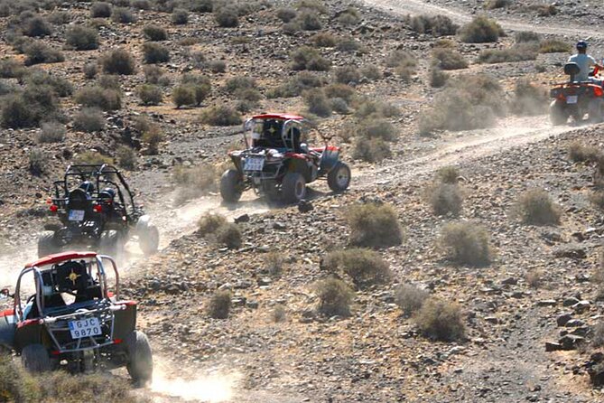 Buggy Safari In Costa Calma - Pickup timing and the location you need: Centro comercial el Palmeral