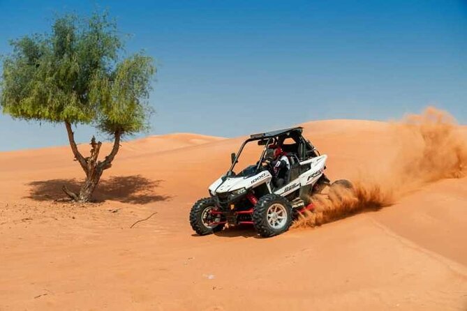Buggy Safari - Sharm El Sheikh - Key Things You’ll Remember from This Buggy Safari