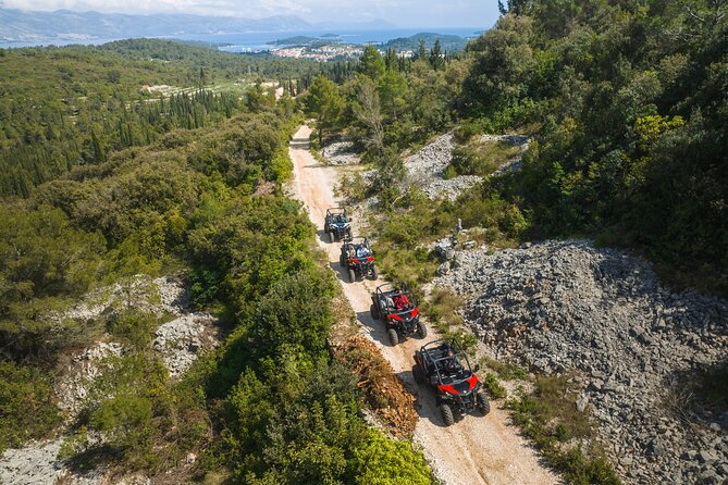 Buggy Safari With Wine Tasting - Key Highlights You’ll Actually Notice