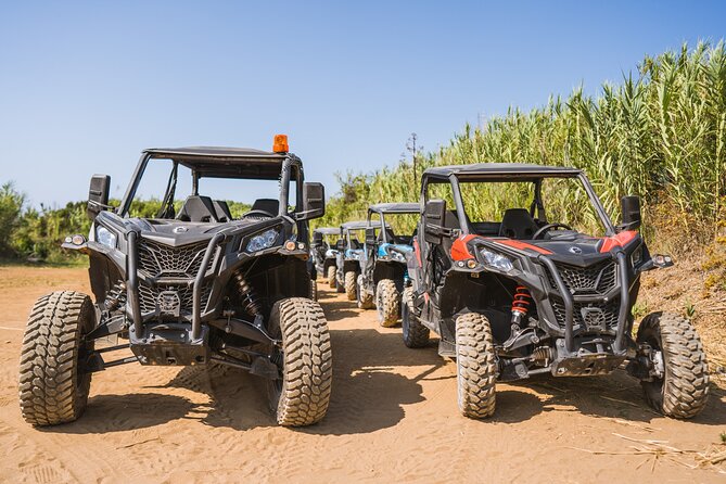 Buggy Safari With Wine Tasting - Winery ‘Adria’ Tasting: Wine, Liqueur, Olive Oil, and More