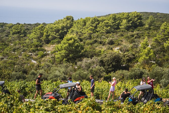 Buggy Safari With Wine Tasting - La’Banya: Off-Road Vineyard Safari and a Second Coast Stop