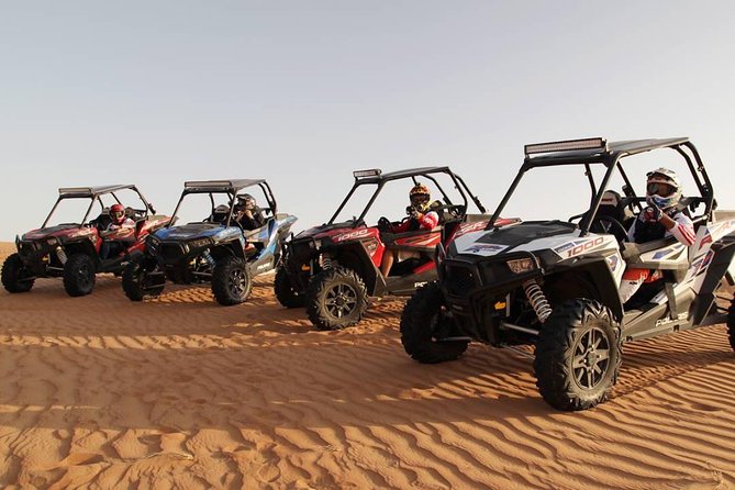 Buggy Self-drive In Red Desert - Camel ride time: fun side quest with mixed feelings
