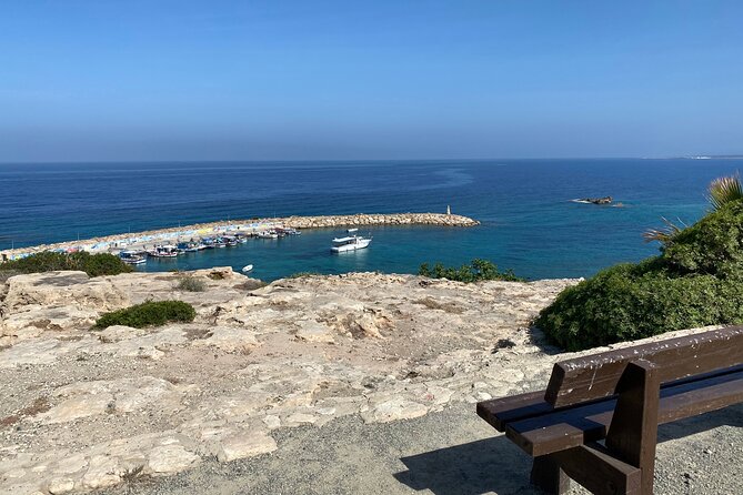Buggy Tour and Cruise from Coral Bay to Blue Lagoon - EDRO III shipwreck: the story is bigger than the view