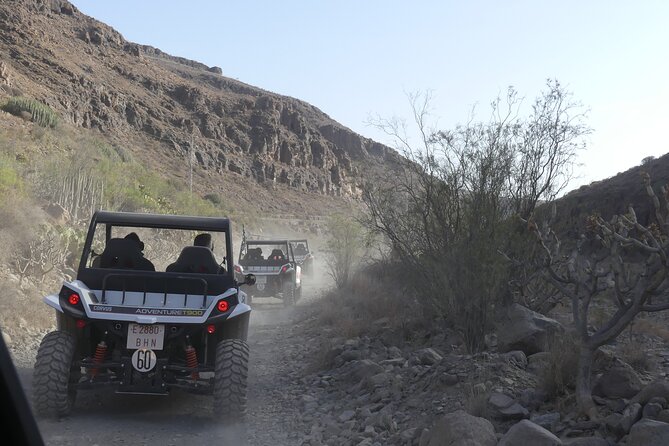Buggy Tour Gran Canaria - Price and Value: Is $90.70 Worth It?
